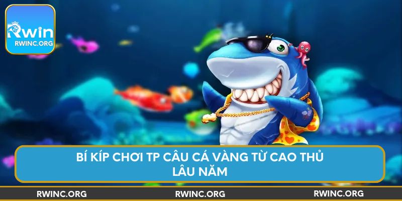 Bí kíp chơi TP Câu Cá Vàng từ cao thủ lâu năm