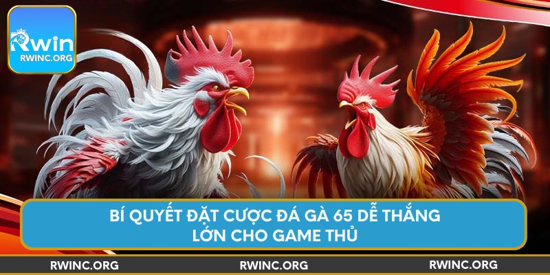 Bí quyết đặt cược đá gà 65 dễ thắng lớn cho game thủ