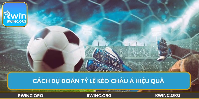 Cách dự đoán tỷ lệ kèo châu Á hiệu quả