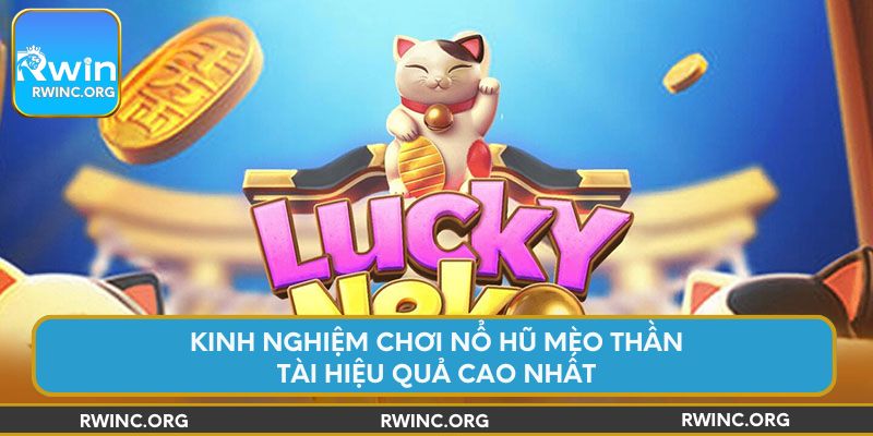 Kinh nghiệm chơi nổ hũ mèo thần tài hiệu quả cao nhất