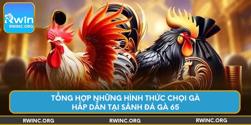 Tổng hợp những hình thức chọi gà hấp dẫn tại sảnh đá gà 65