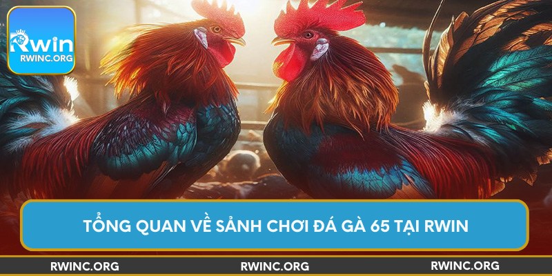 Tổng quan về sảnh chơi đá gà 65 tại Rwin