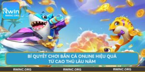 bi-quyet-choi-ban-ca-online-hieu-qua-tu-cao-thu-lau-nam