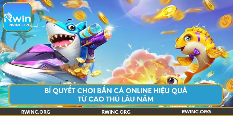 bi-quyet-choi-ban-ca-online-hieu-qua-tu-cao-thu-lau-nam