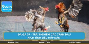 da-ga-79-trai-nghiem-cac-tran-dau-kich-tinh-sieu-hap-dan