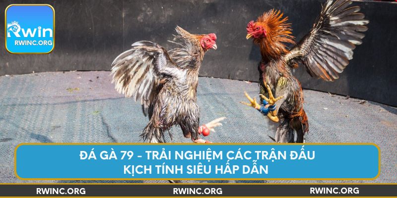 da-ga-79-trai-nghiem-cac-tran-dau-kich-tinh-sieu-hap-dan