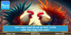 top-3-meo-choi-da-ga-65-truc-tuyen-kiem-tien-trieu-moi-ngay