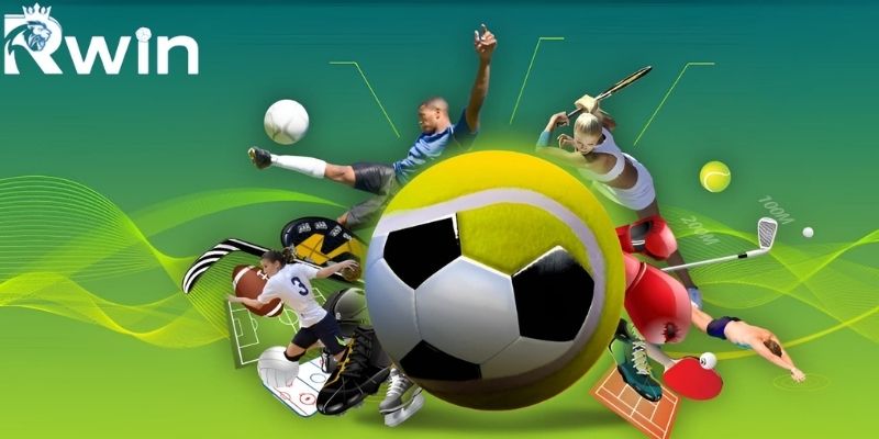 Sảnh thể thao thu hút nhờ khả năng mang đến các trận đấu hấp dẫn